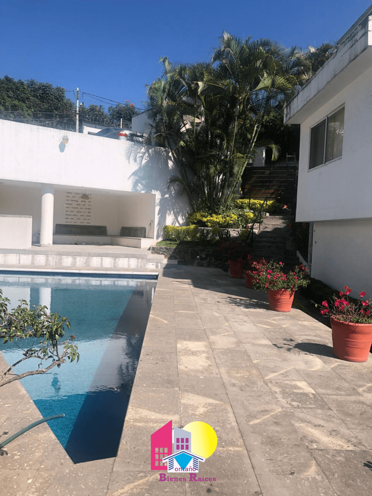 Alberca y áreas comunes